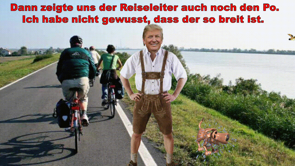 Der Reiseleiter