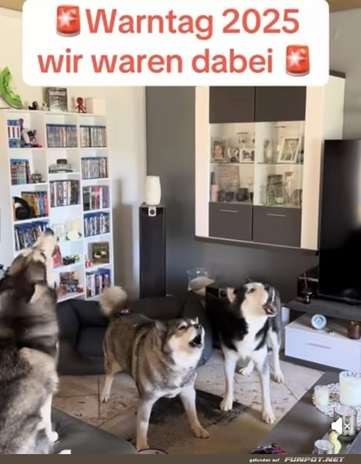 Hundekonzert zum Warntag