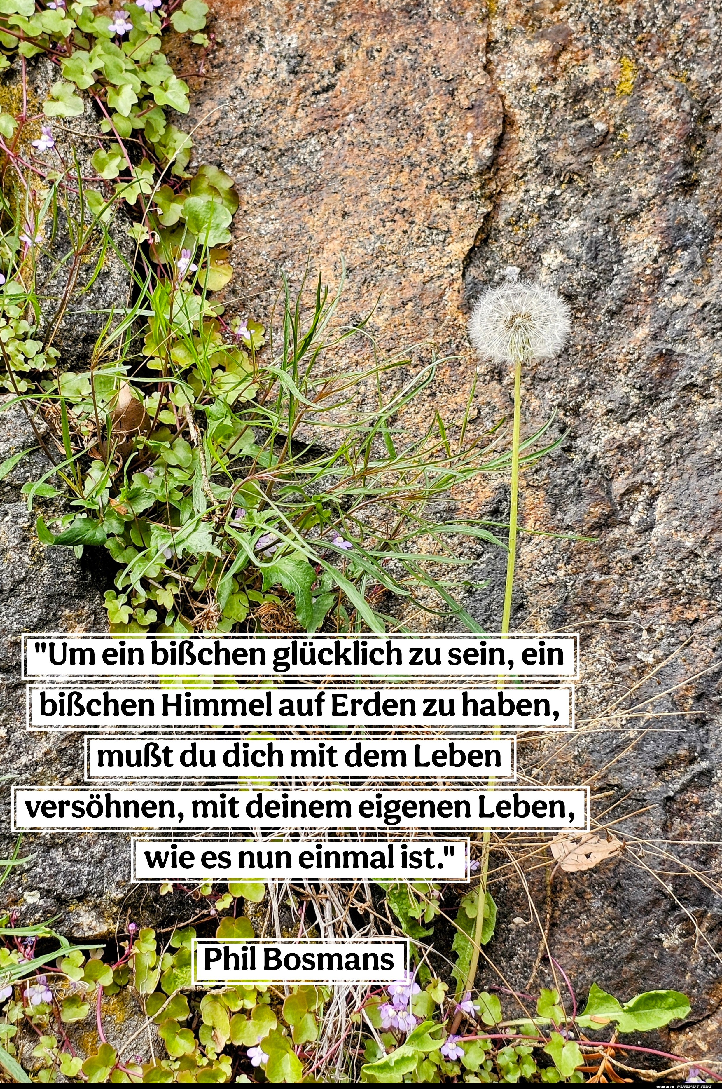 um ein bißchen glücklich zu sein um ein bißchen glücklich zu sein