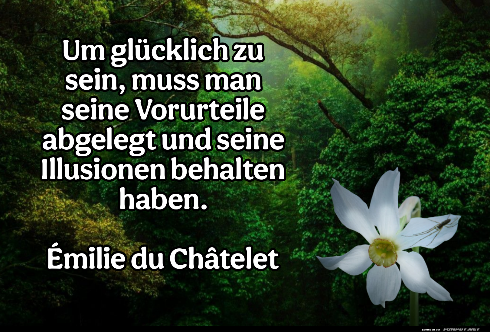 um glcklich zu sein