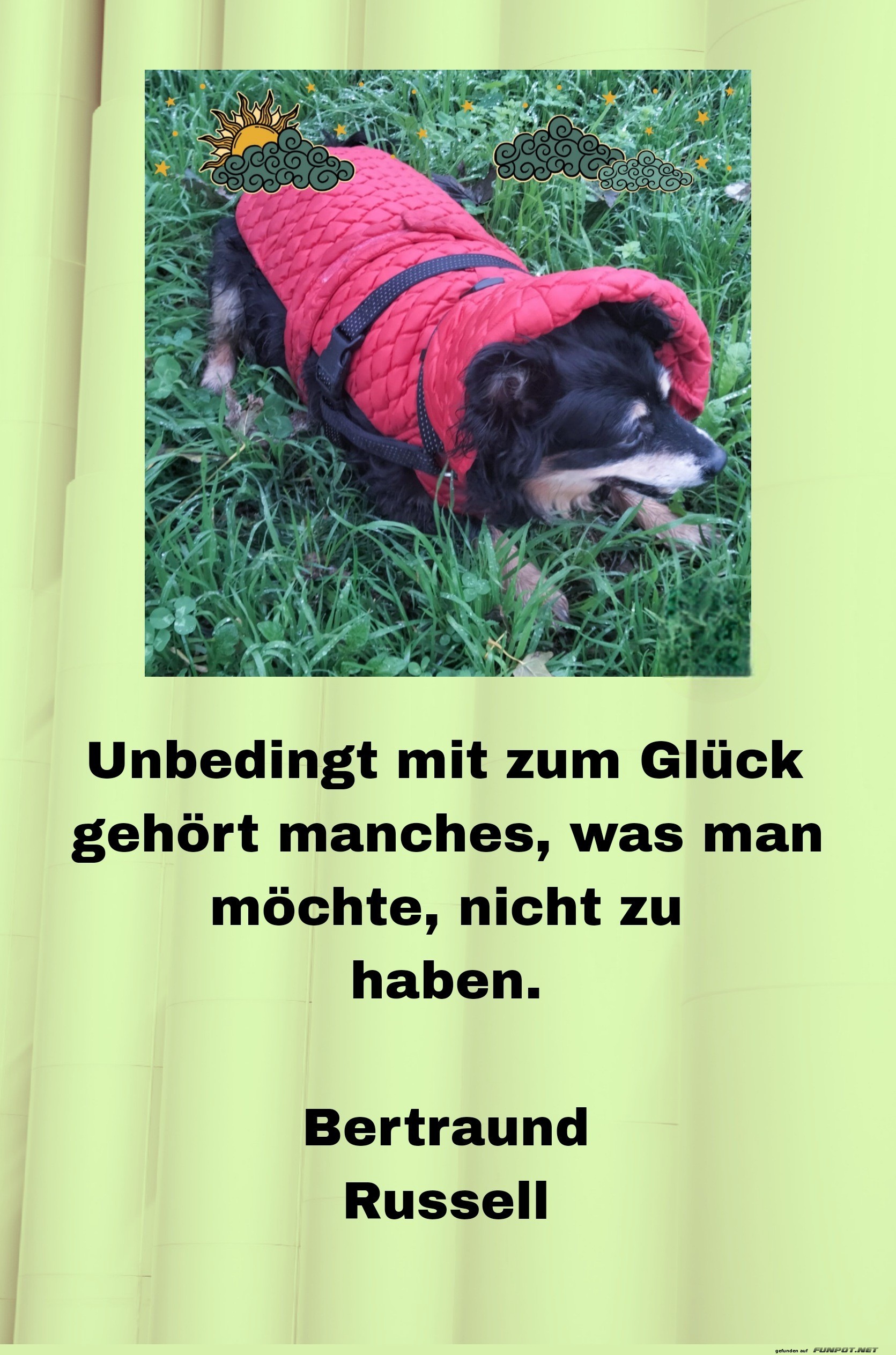 unbedingt mit zum glck gehrt