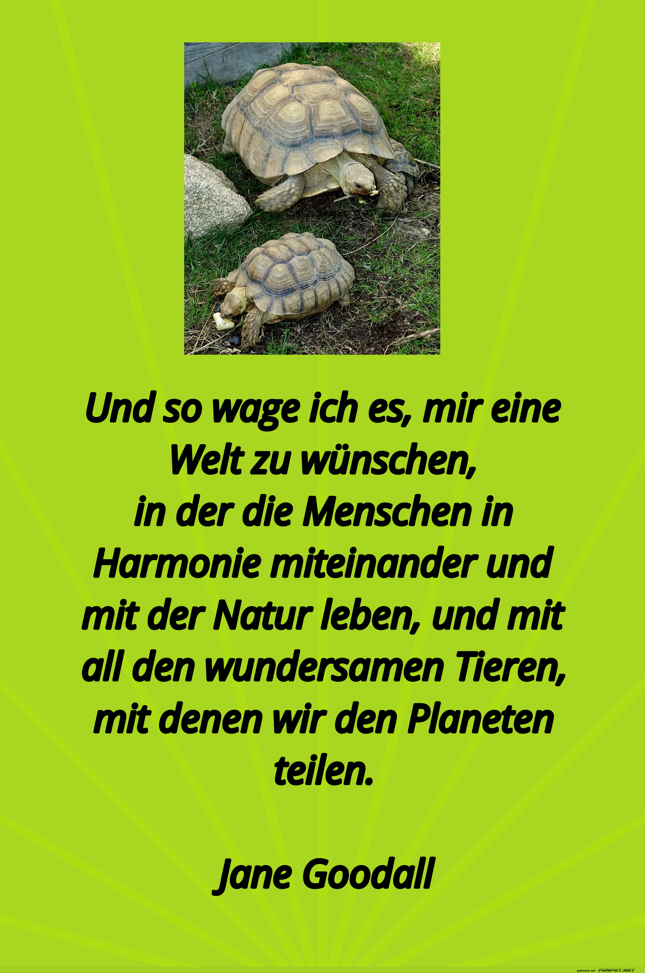 und so wage ich es