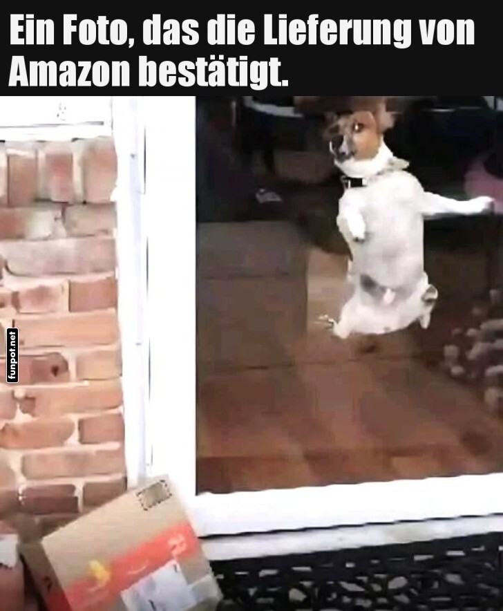 Die Lieferung ist gelandet! Die Lieferung ist gelandet!