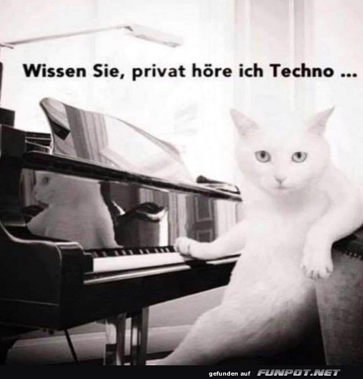 Piano-Katze und ihr Techno-Geheimnis
