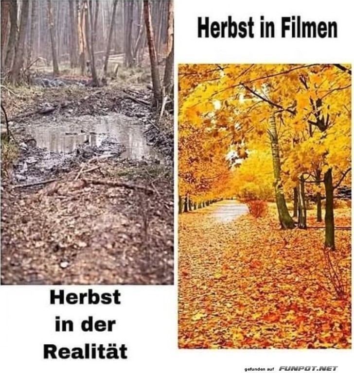 Herbst: Film vs. Realität Herbst: Film vs. Realität