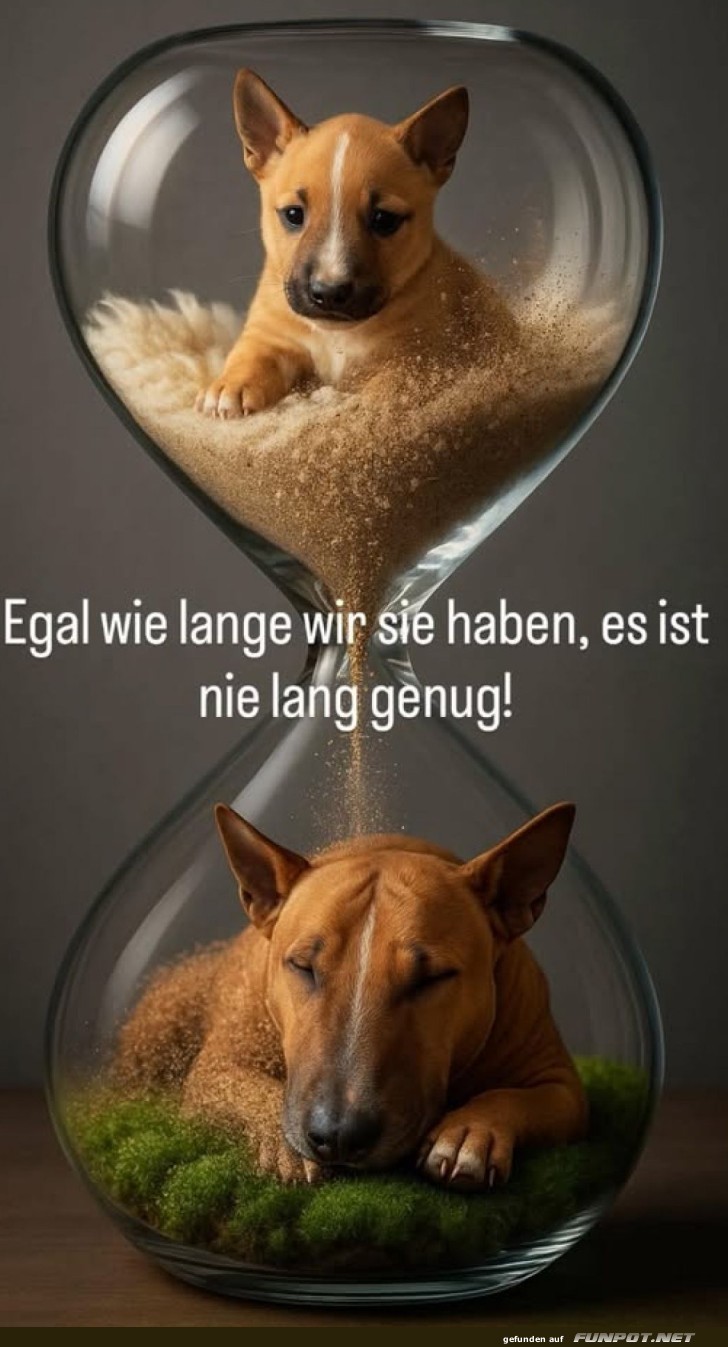 Hund im Sand der Zeit: Unendliche Liebe! Hund im Sand der Zeit: Unendliche Liebe!