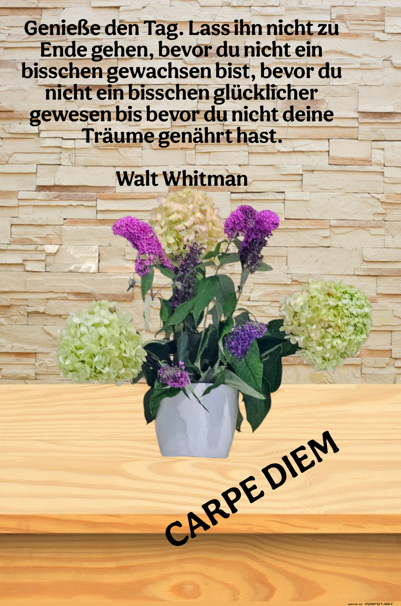 geniee den tag. lass ihn