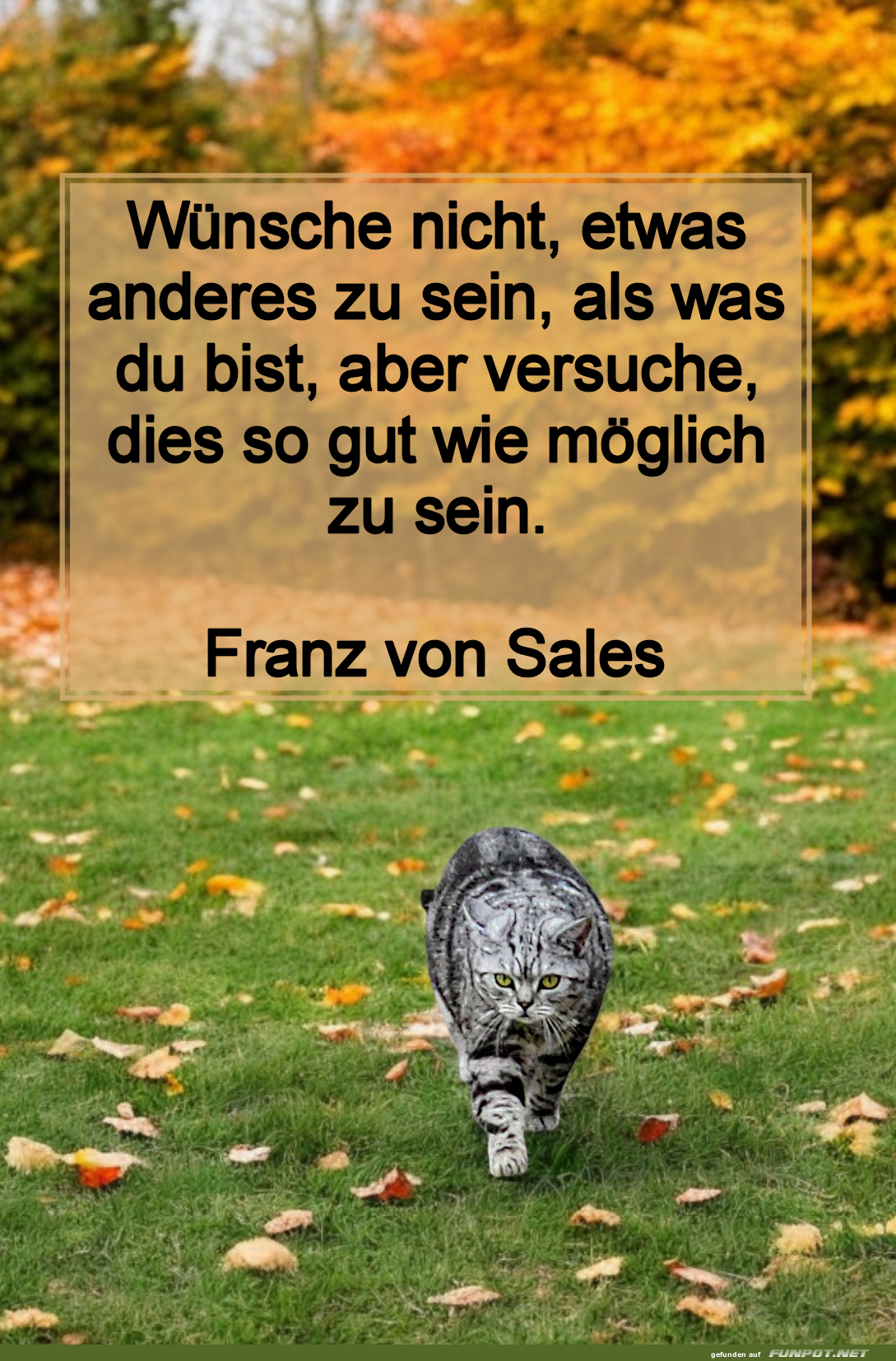 wnsche nicht, etwas anderes