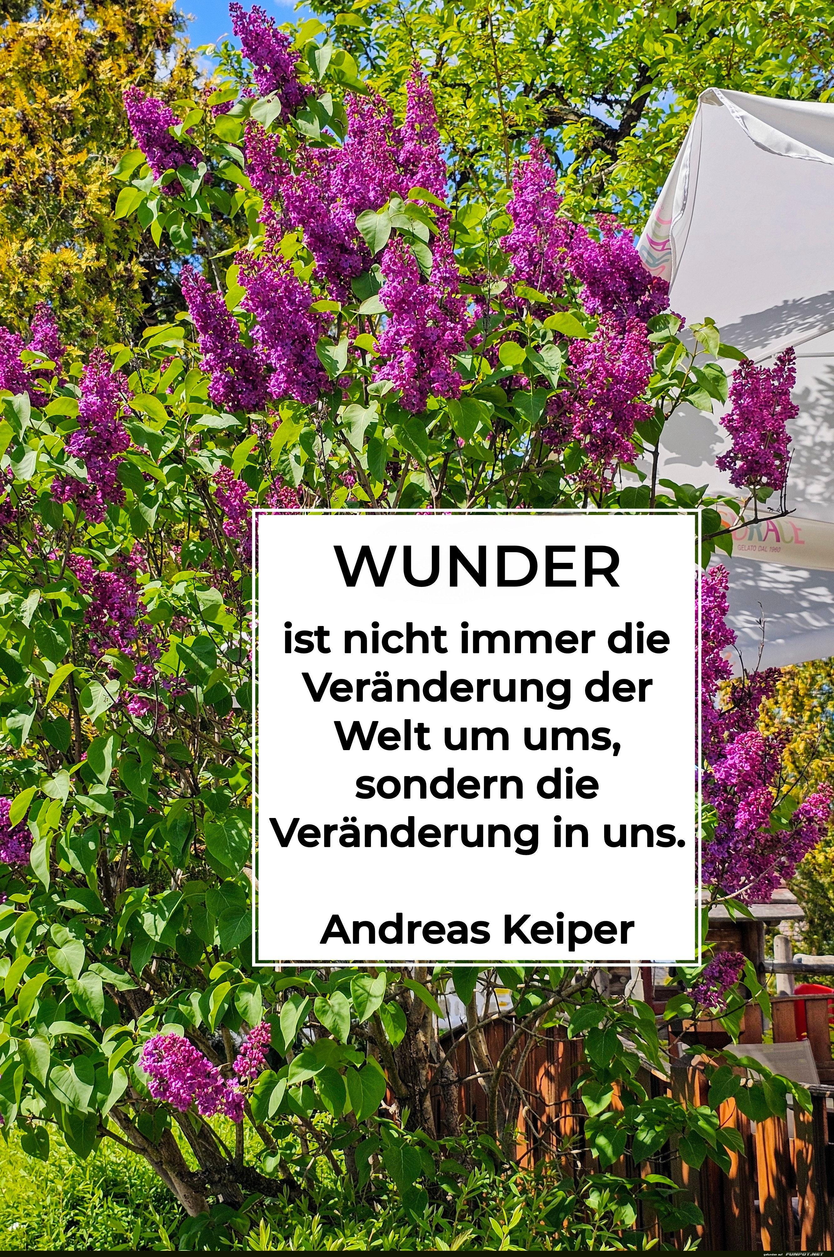wunder ist nicht immer