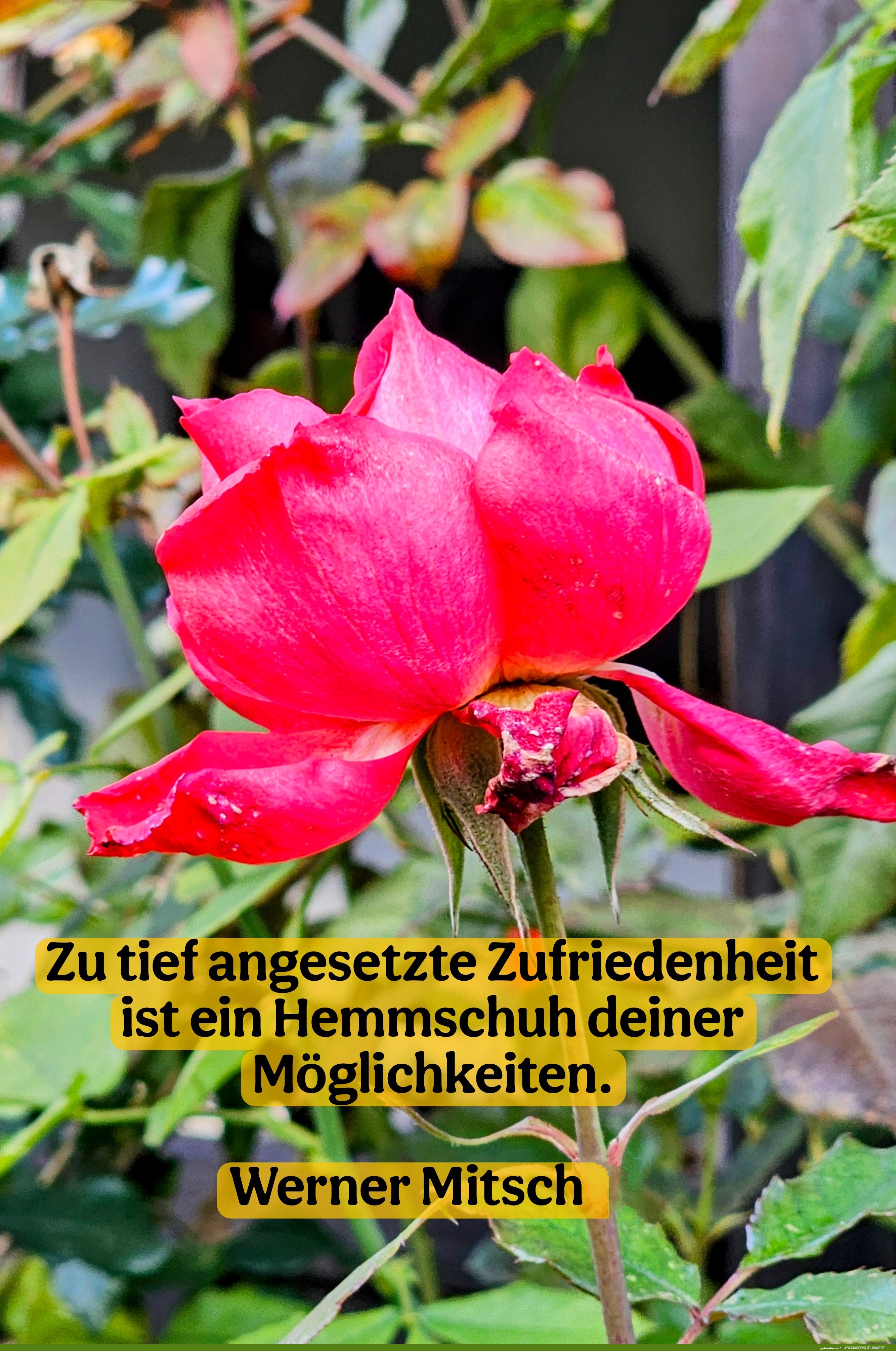 zu tief angesetzte zufriedenheit