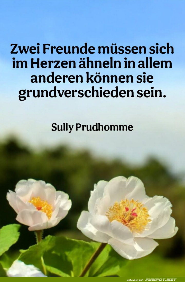 zwei freunde mssen sich