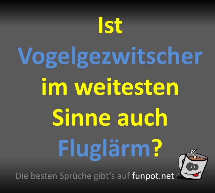 Vogel oder Flugzeug? Geruschdebatte!