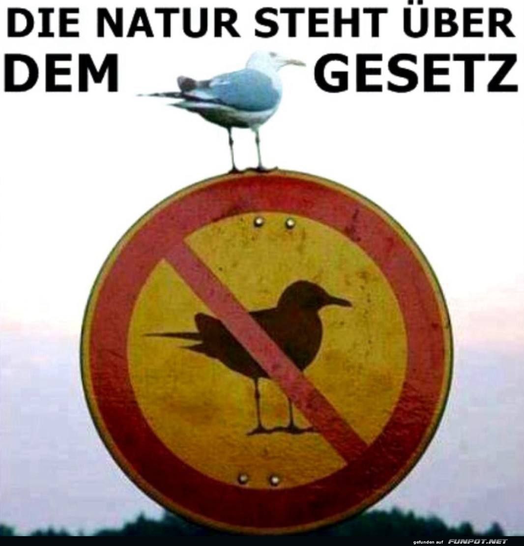 Die Natur Die Natur