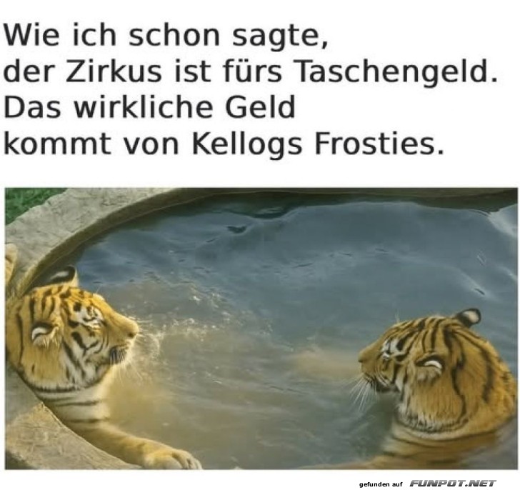 Das wirklich Geld kommt von den Frosties Das wirklich Geld kommt von den Frosties