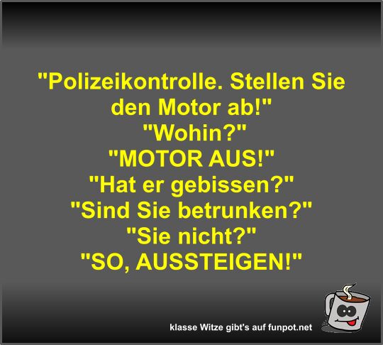 Polizeikontrolle Polizeikontrolle