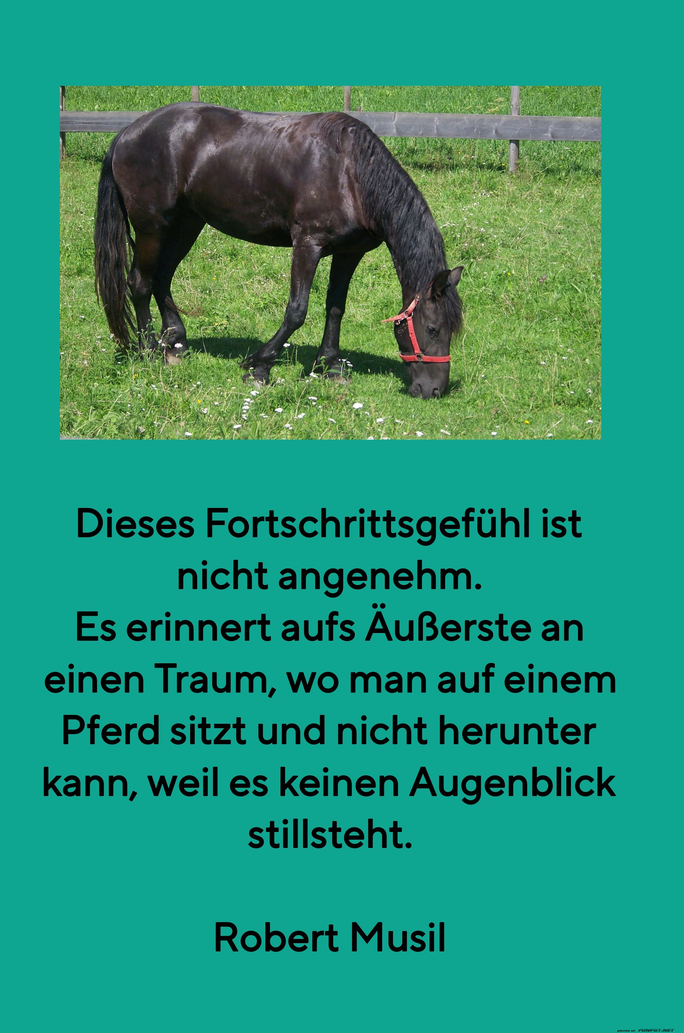 dieses fortschrittsgefühl dieses fortschrittsgefühl