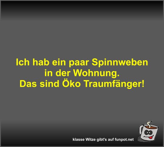 Ich hab ein paar Spinnweben in der Wohnung Ich hab ein paar Spinnweben in der Wohnung