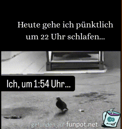 War wohl nichts