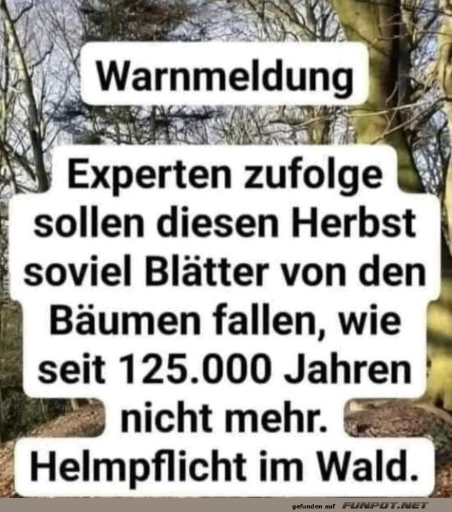 Helmpflicht bei Herbstlaub! Helmpflicht bei Herbstlaub!