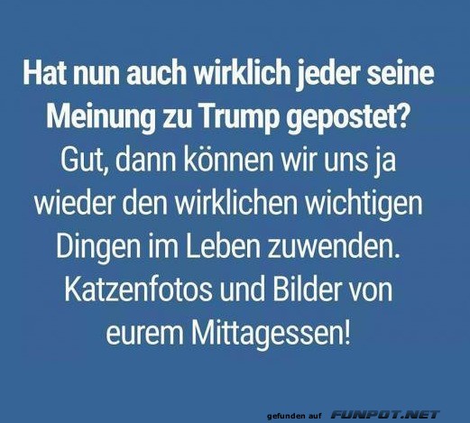 Zurück zu Katzen und Mittagessen! Zurück zu Katzen und Mittagessen!