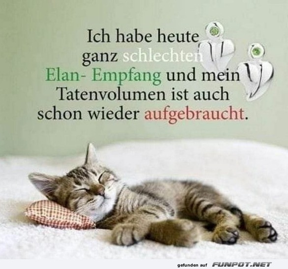 Mder Miez mit schlechtem Elan-Empfang