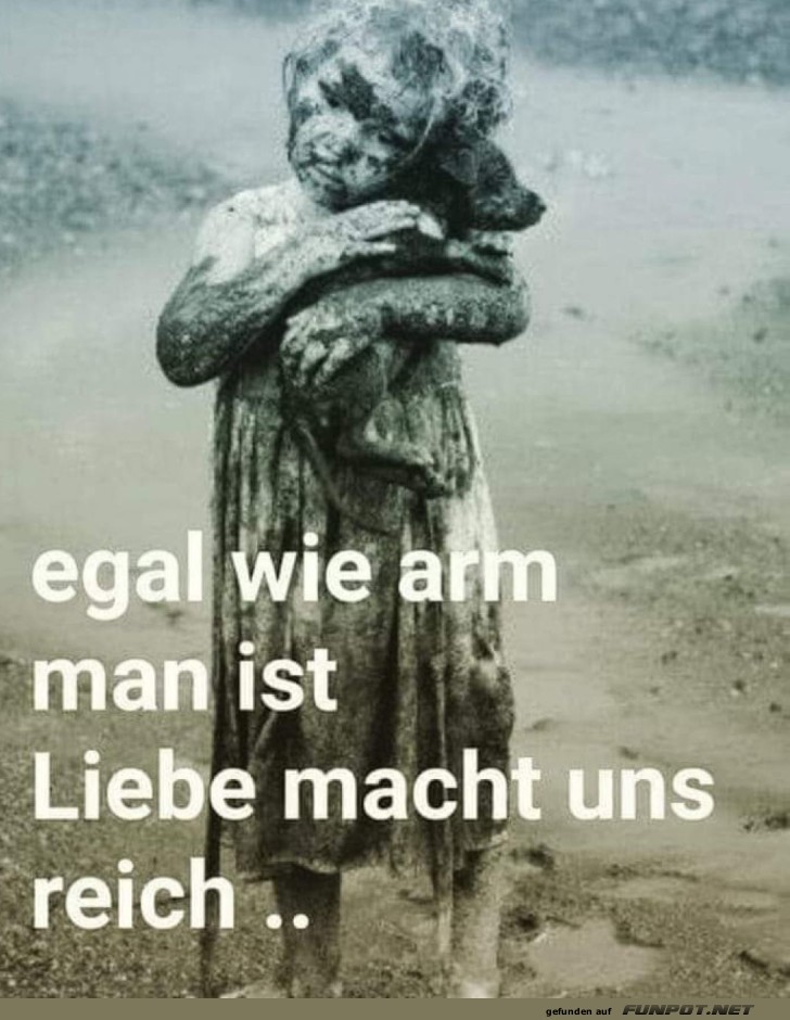 Schlammschlacht der Zuneigung Schlammschlacht der Zuneigung