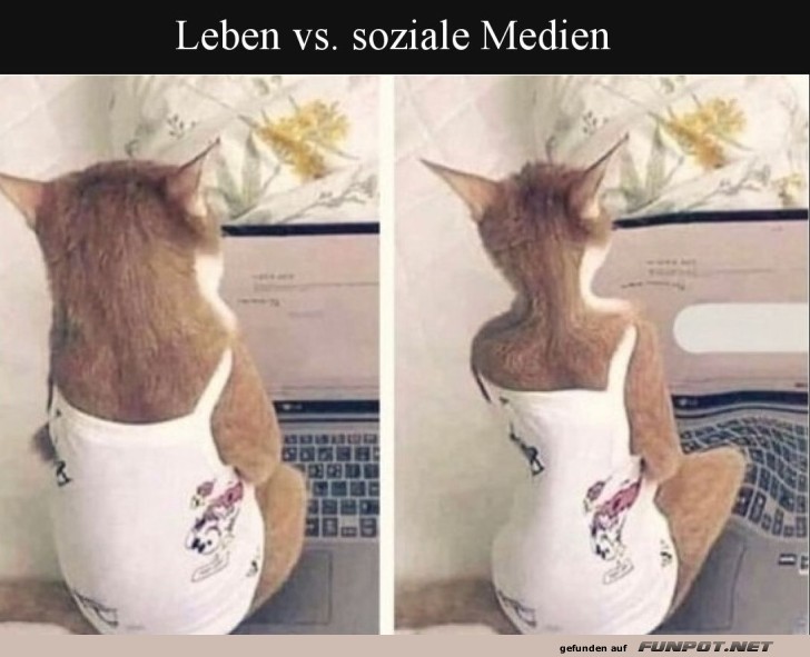 Wenn die Realitt die Filter trifft