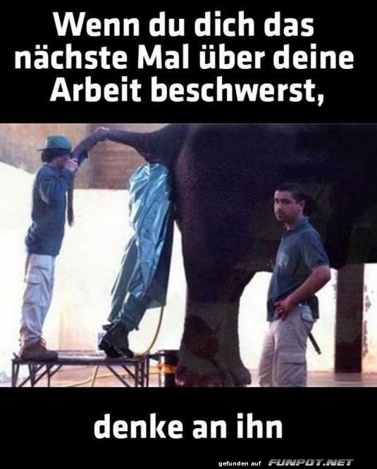 Bürojob plötzlich gar nicht so schlecht! Bürojob plötzlich gar nicht so schlecht!