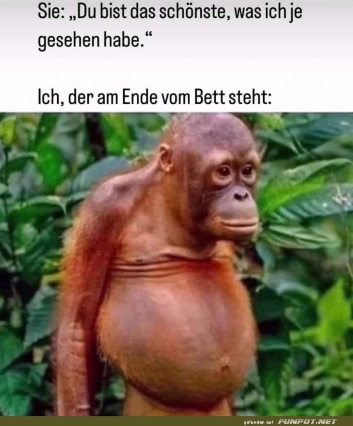 Wenn Komplimente echte Wunder wirken! Wenn Komplimente echte Wunder wirken!