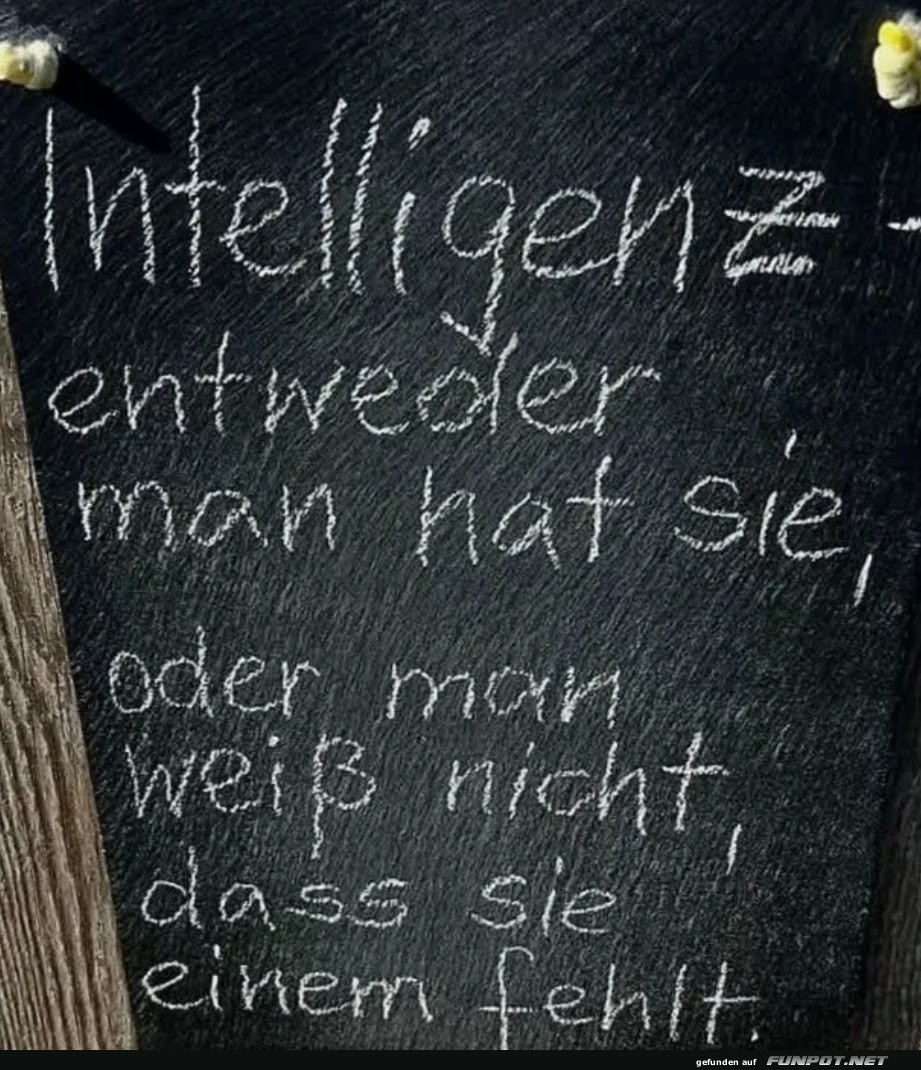 intelligenz intelligenz