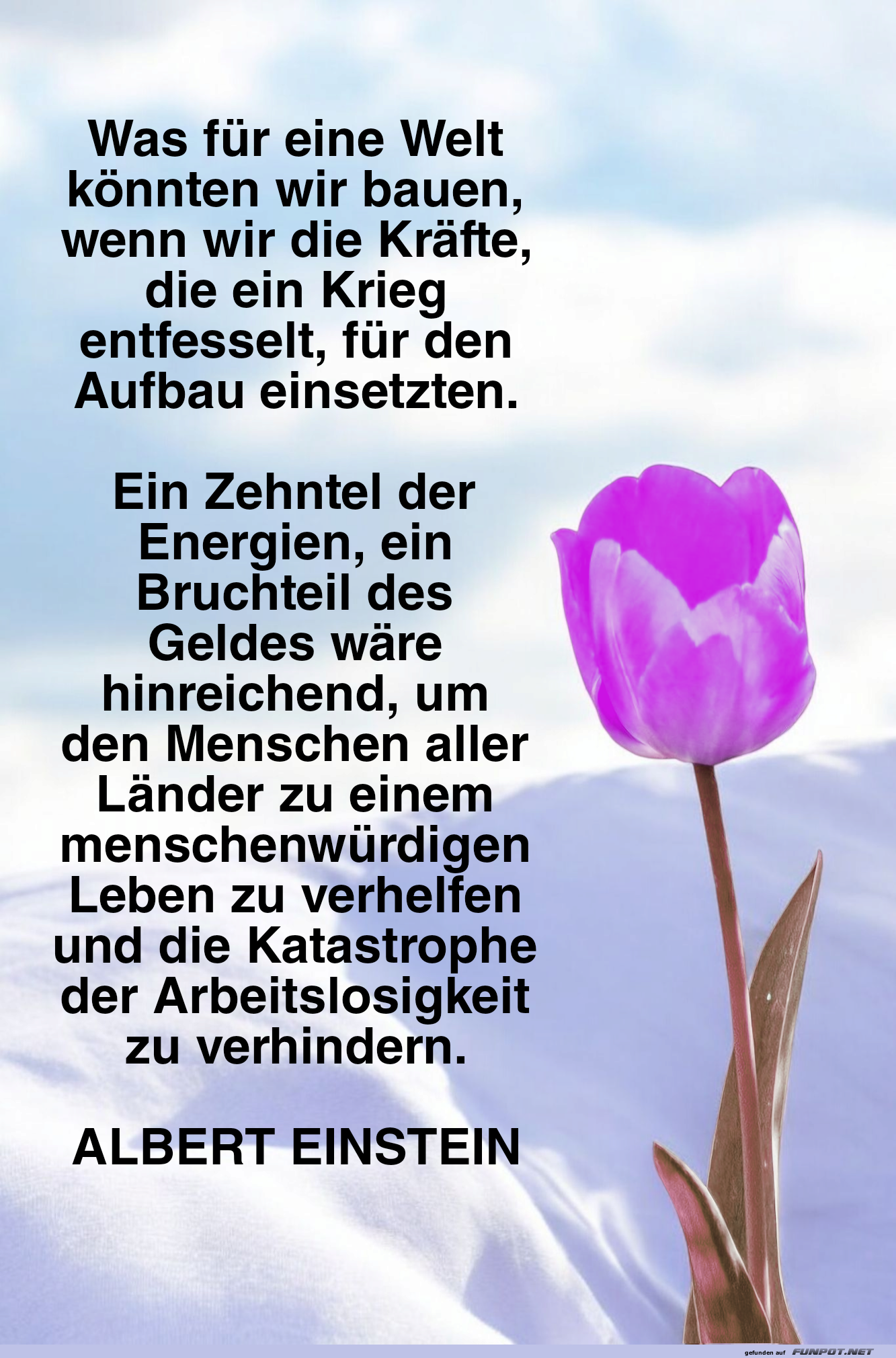 was fr eine welt