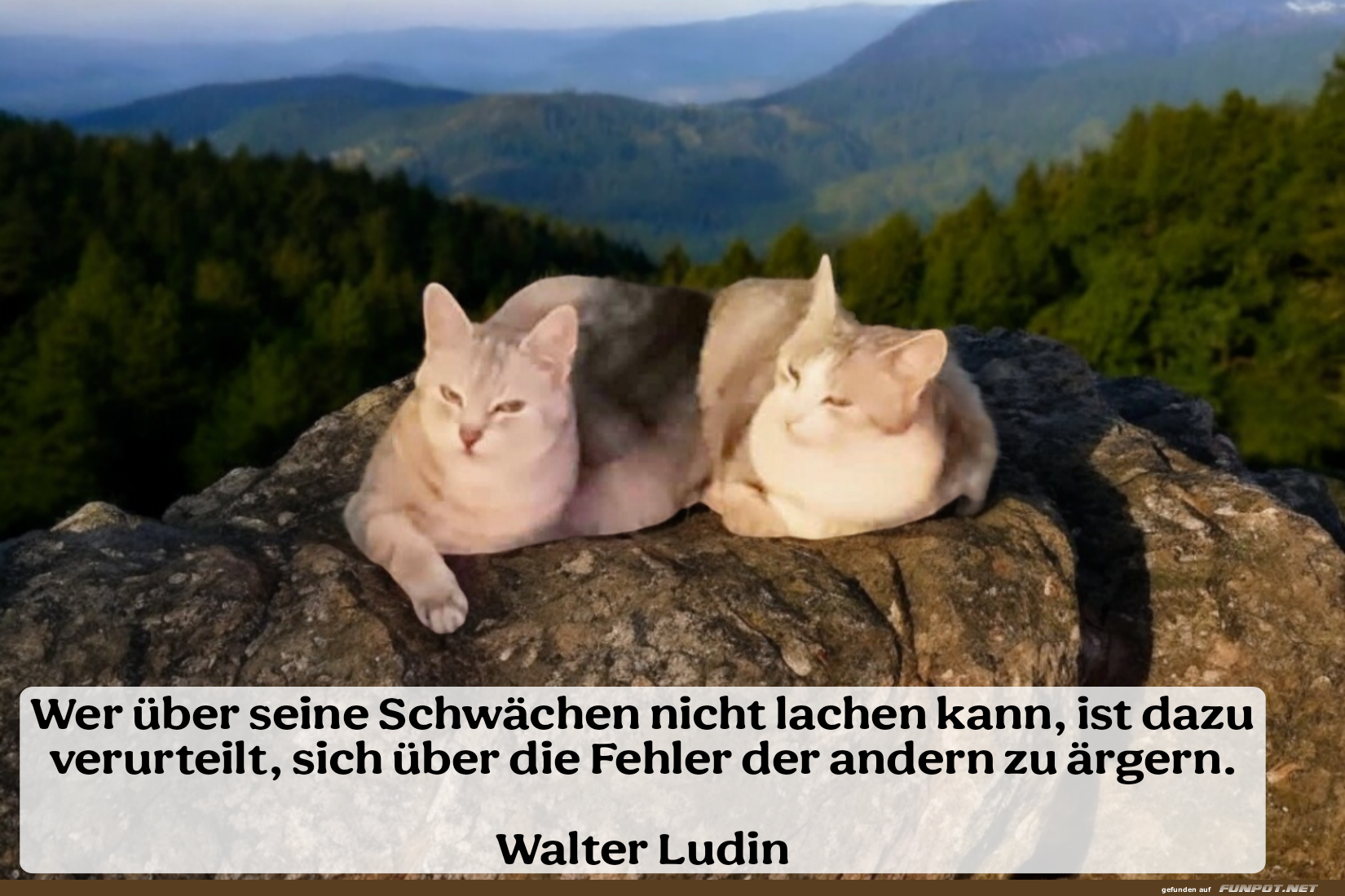 wer über seine schwächen wer über seine schwächen