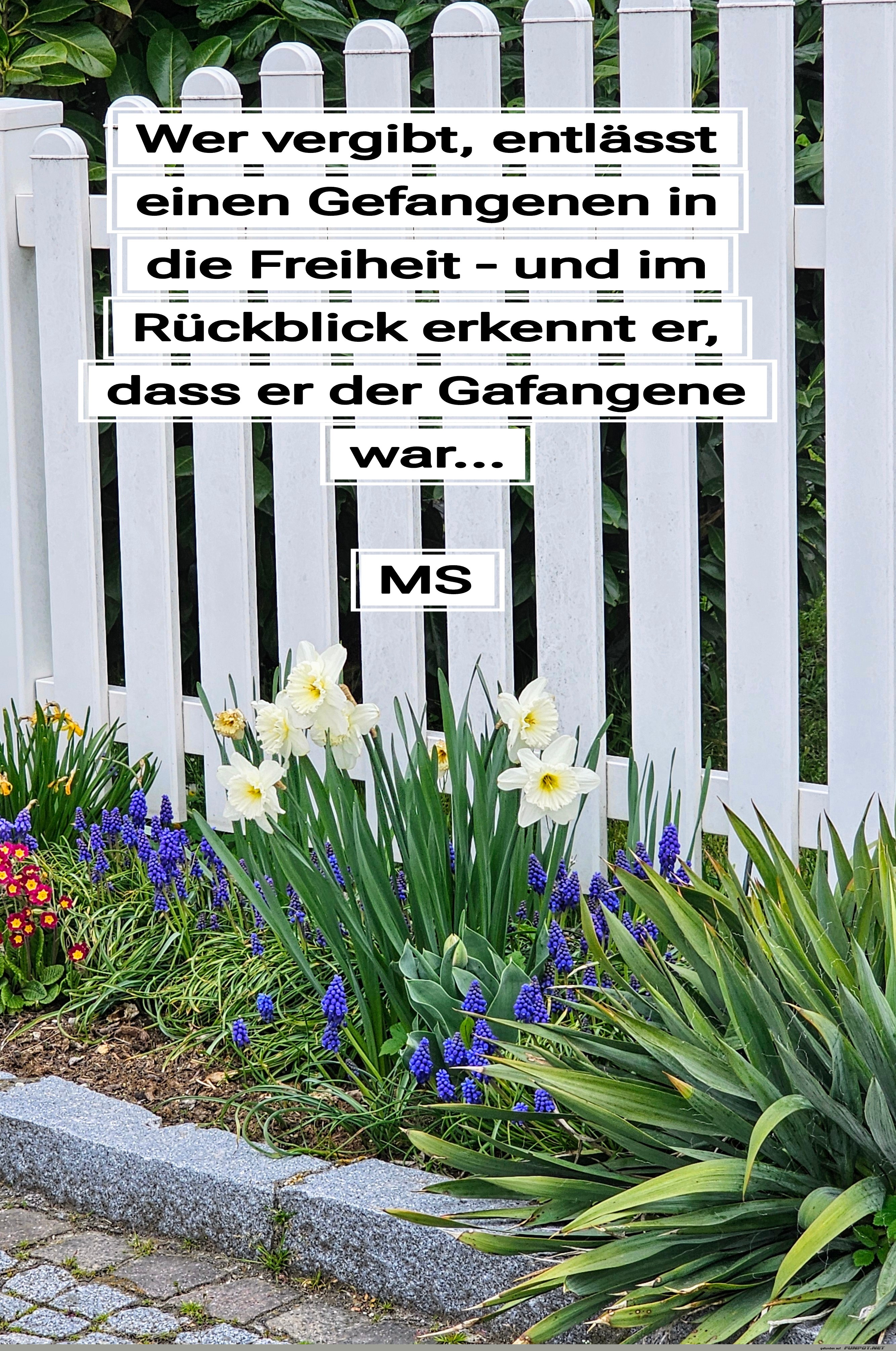wer vergibt, entlässt einen gefangenen wer vergibt, entlässt einen gefangenen
