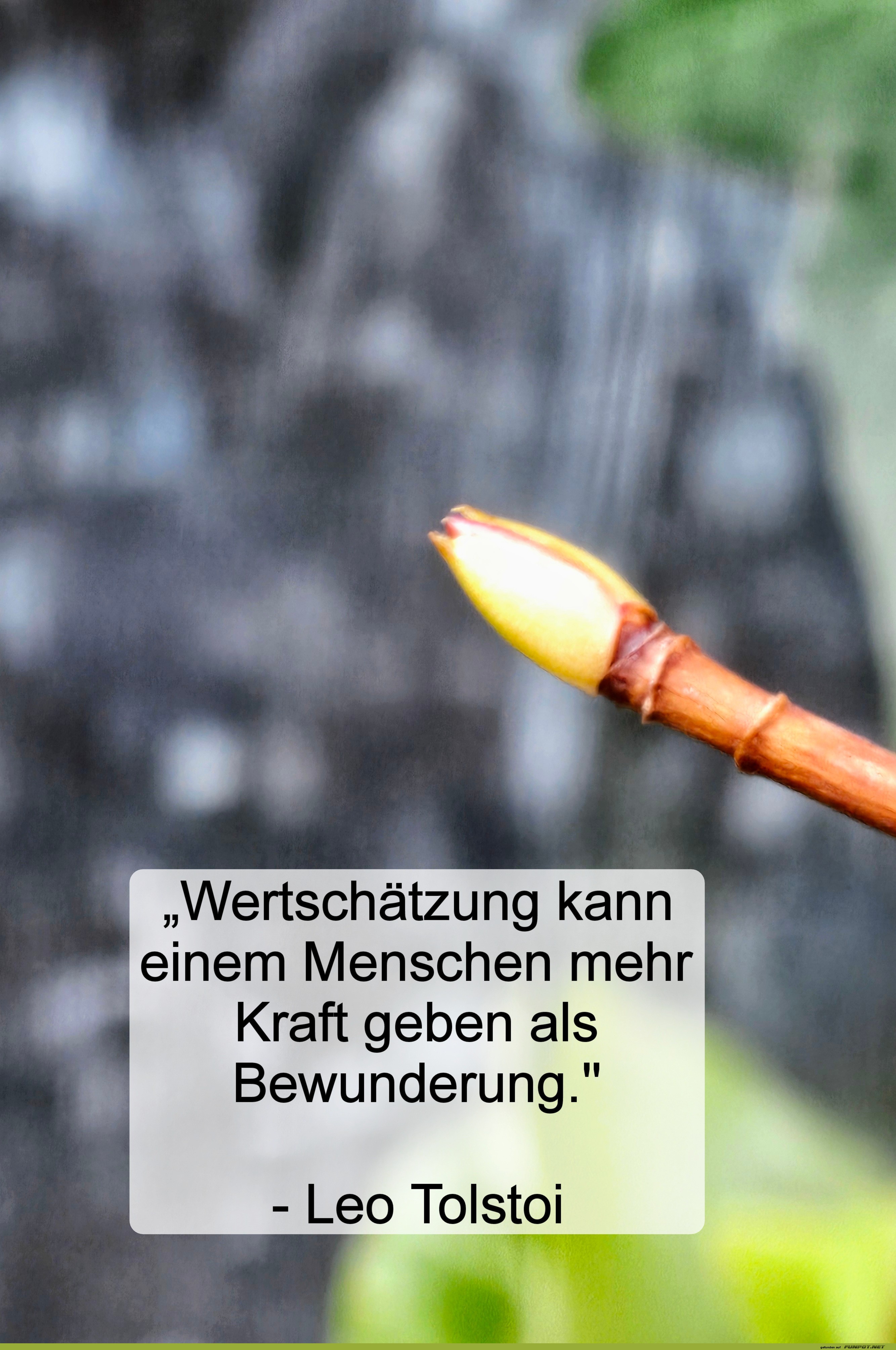 wertschätzung kann einem menschen wertschätzung kann einem menschen