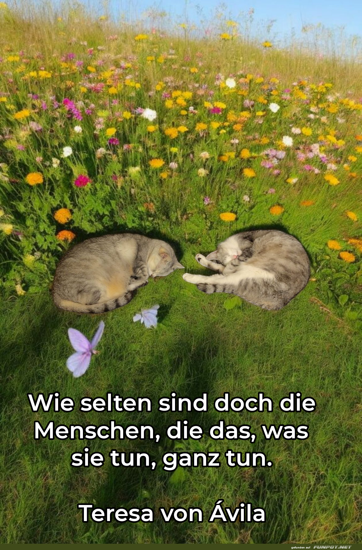 wie selten sind doch die menschen wie selten sind doch die menschen