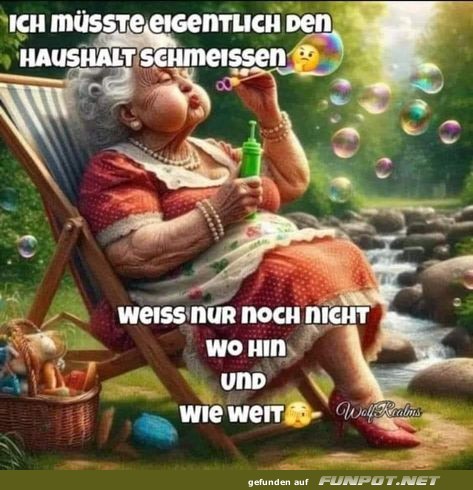 Haushalt schmeissen Haushalt schmeissen