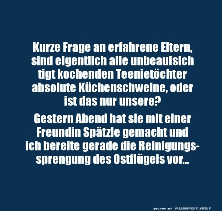 Teenager in der Kche: Ein Abenteuer