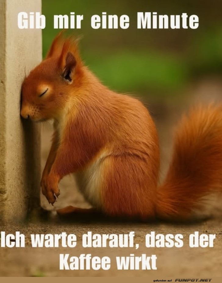 Wenn der Koffeinkick auf sich warten lsst