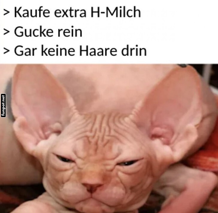 Katzenfrust: Keine Haare in der Milch?