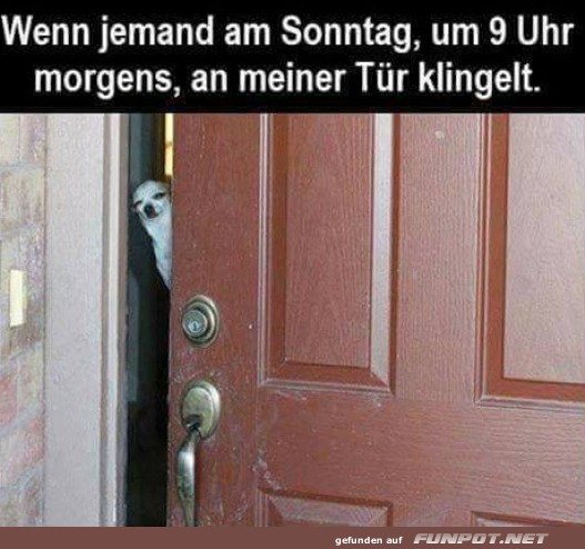 Sonntagsklingel-Alarm: Wer strt den Frieden?