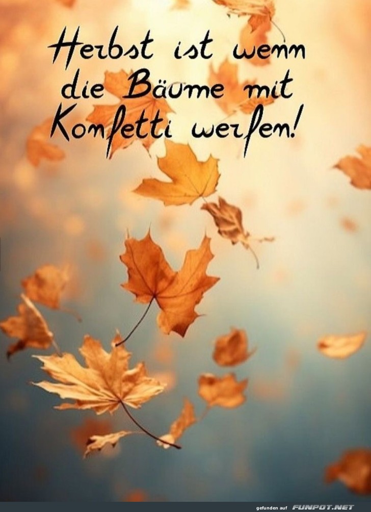 Wenn Bume die Party des Jahres feiern