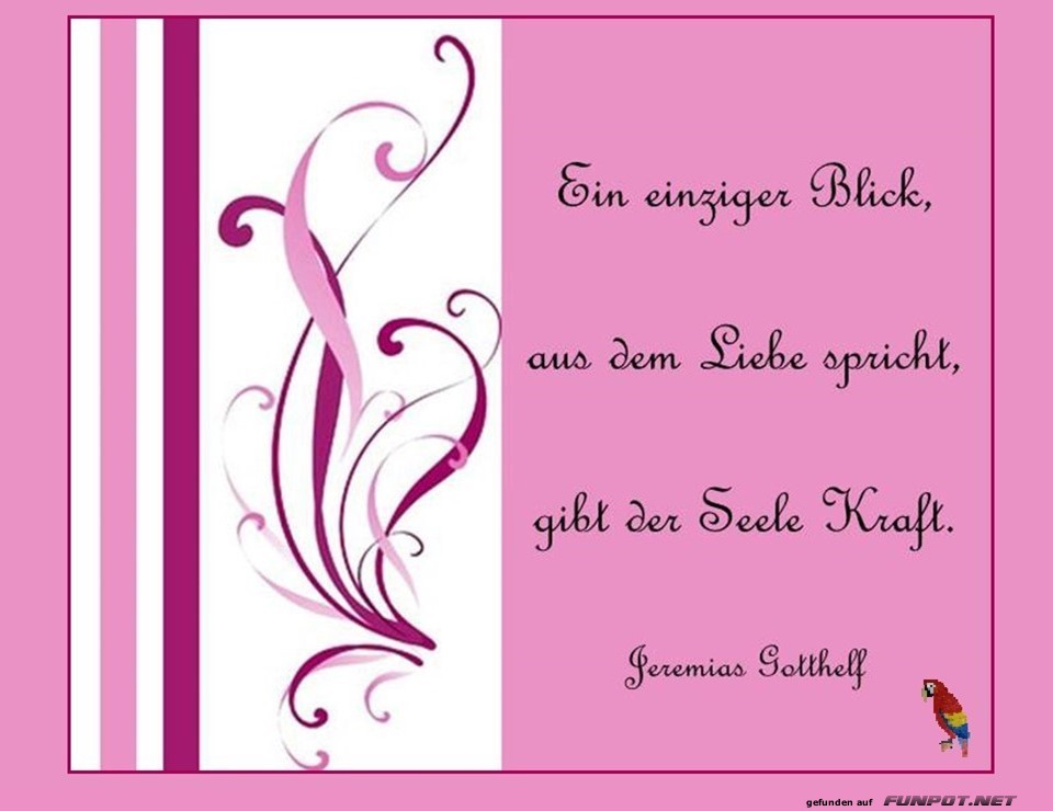 Ein einziger Blick