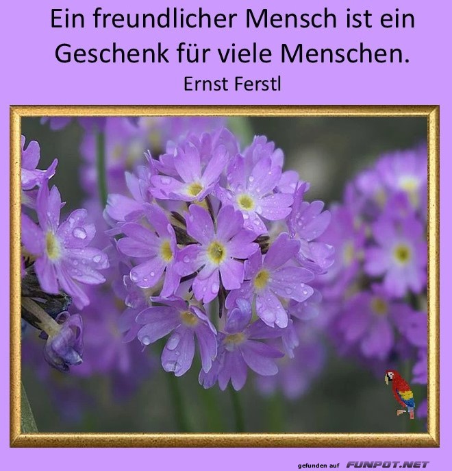 Ein freundlicher Mensch Ein freundlicher Mensch