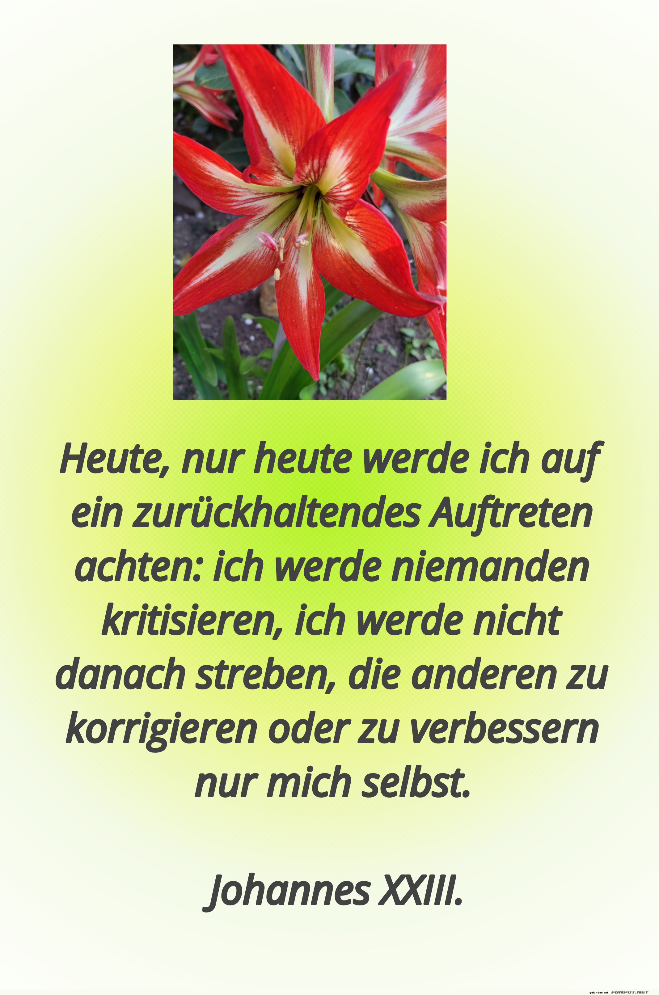 heute, nur heute werde ich auf ein zurckhaltendes auftreten
