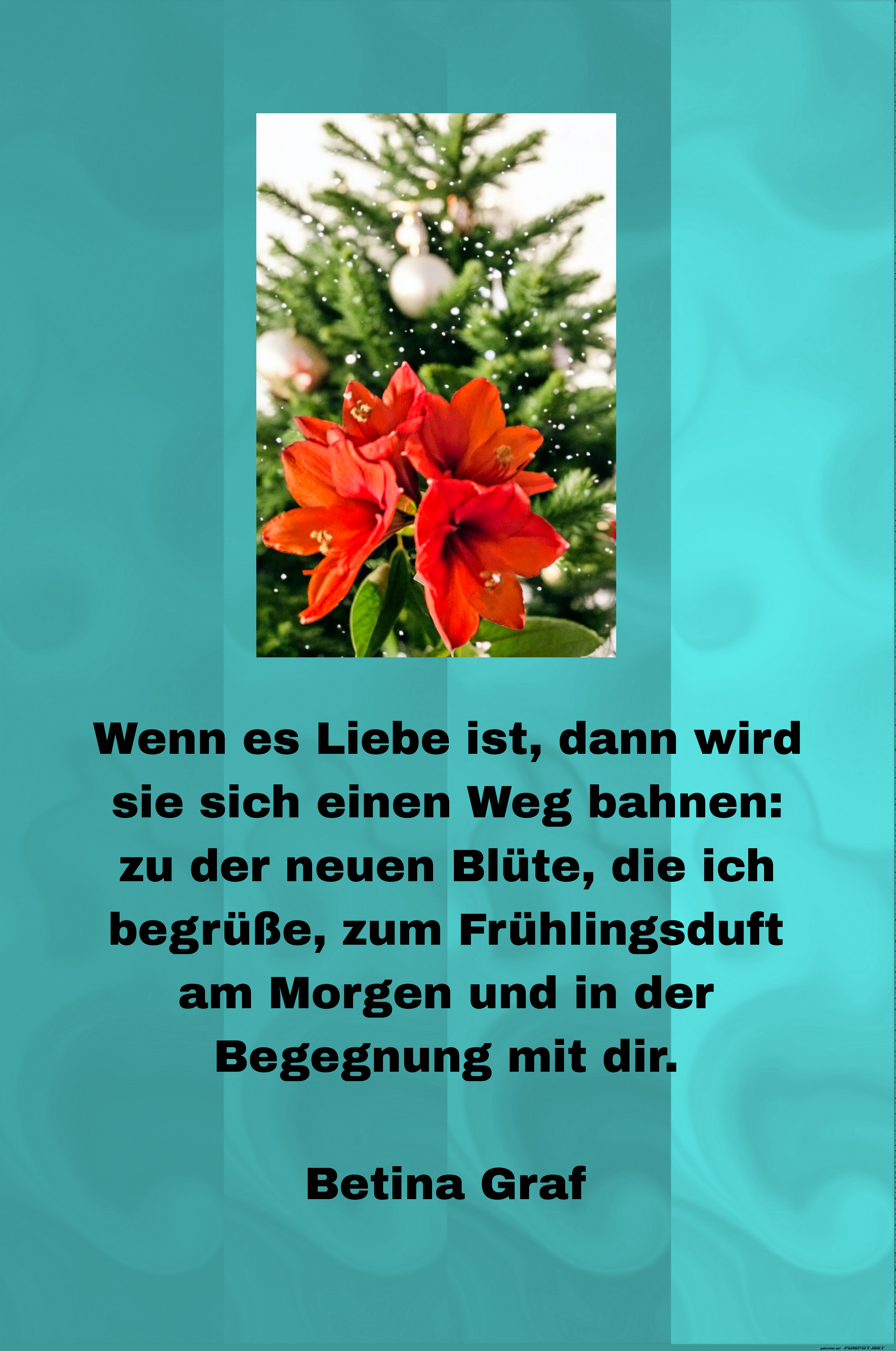 wenn es liebe ist