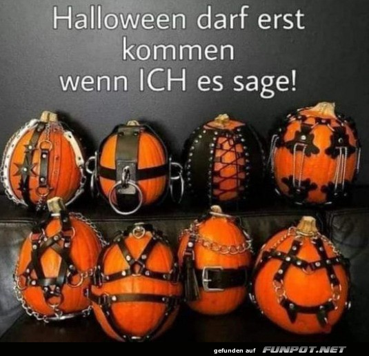 Krbisse in Leder: Halloween erst auf Kommando!