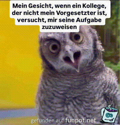 Vergiss es