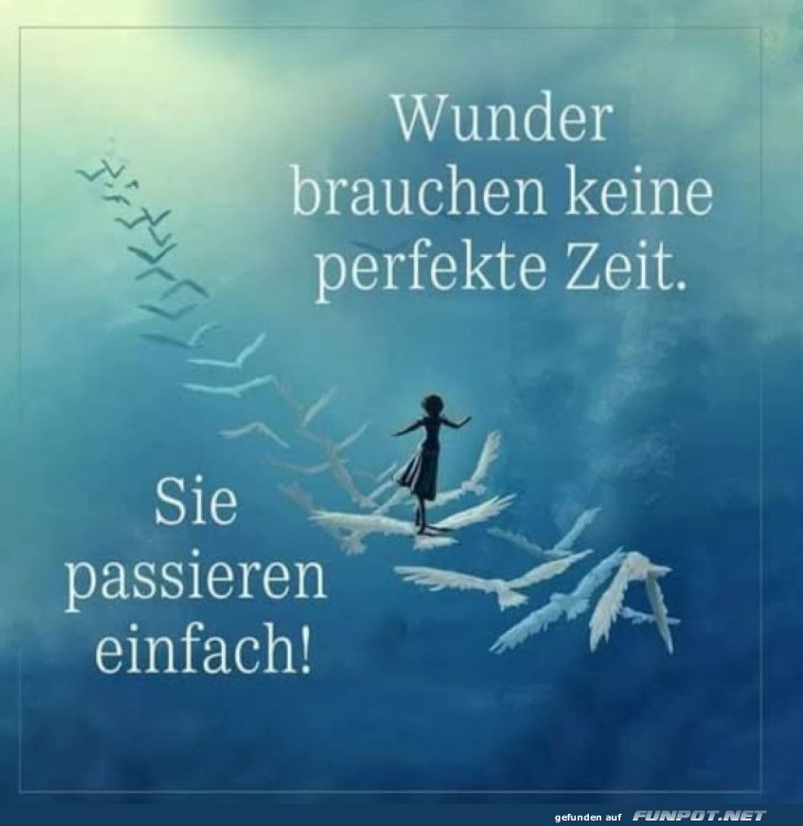 Alles im perfekten Timing - oder auch nicht!