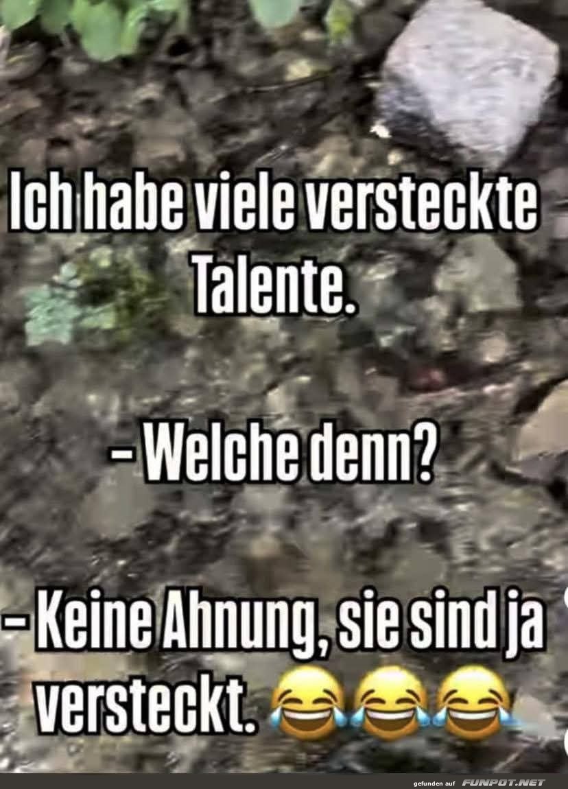 Meine versteckten Talente sind unsichtbar!