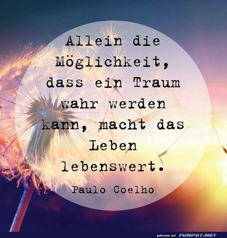 Pusteblume und Trume: Ein Flstern vom Leben
